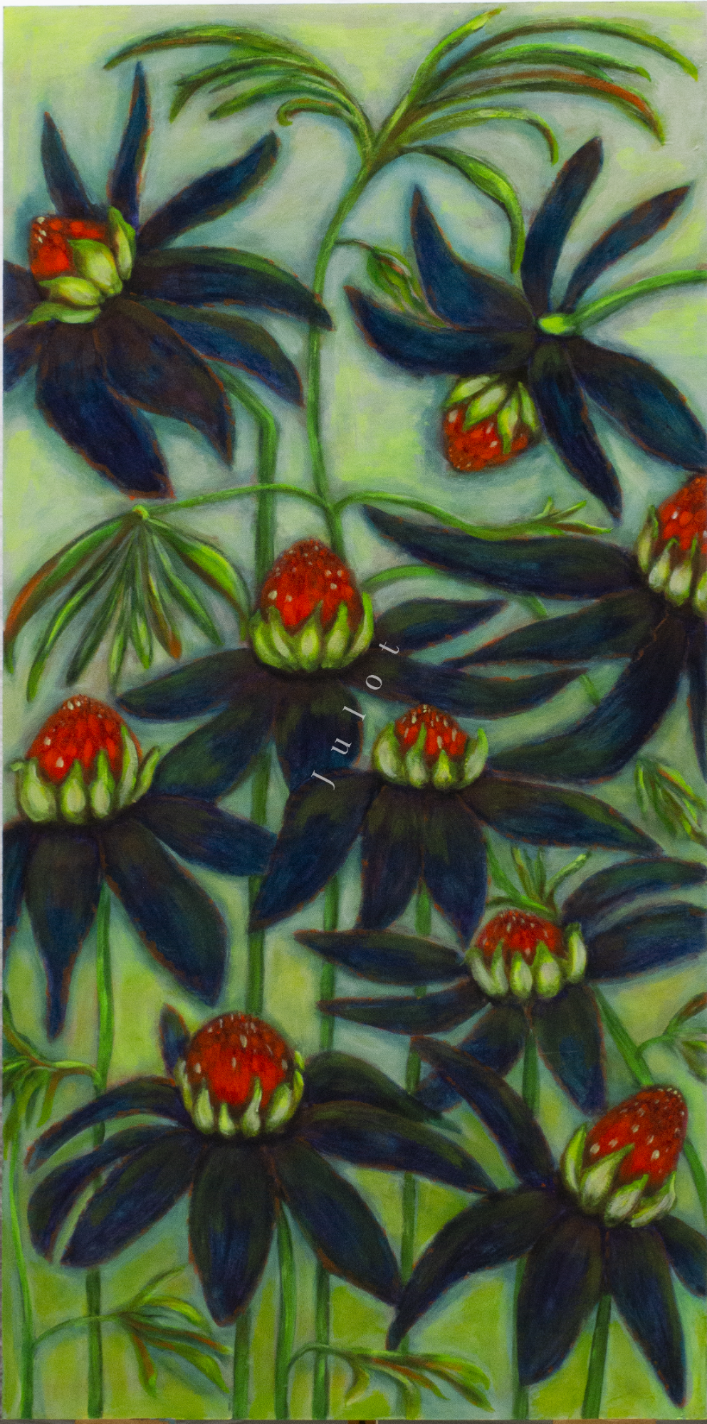 Donkerblauwe bloemen met rode bloemknoppen op een groene achtergrond.