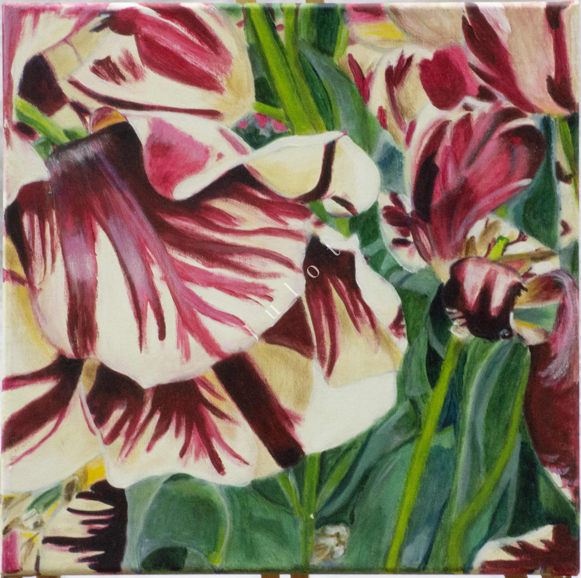 Kleurrijke tulpen met witte en dieprode bloemblaadjes in een groene omgeving.